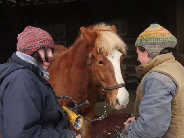 A Farrier?  What’s That?